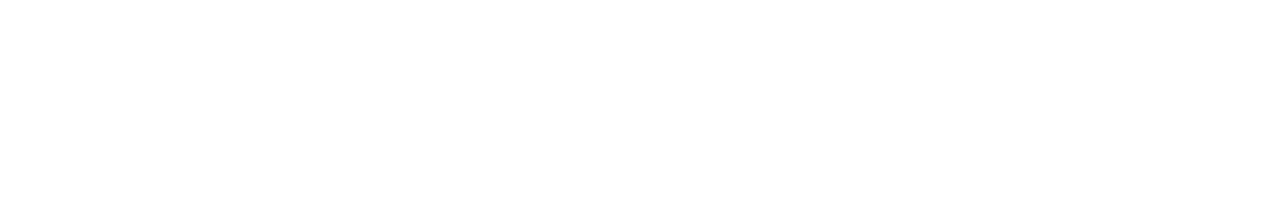 Ping Identity